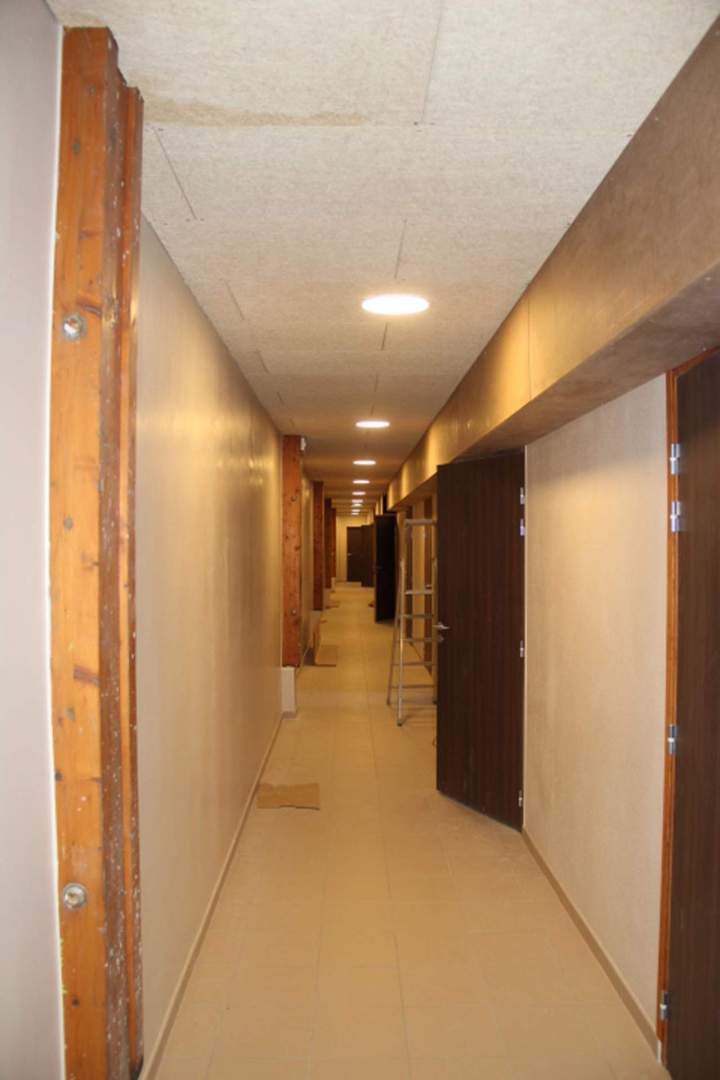 IMG 4463